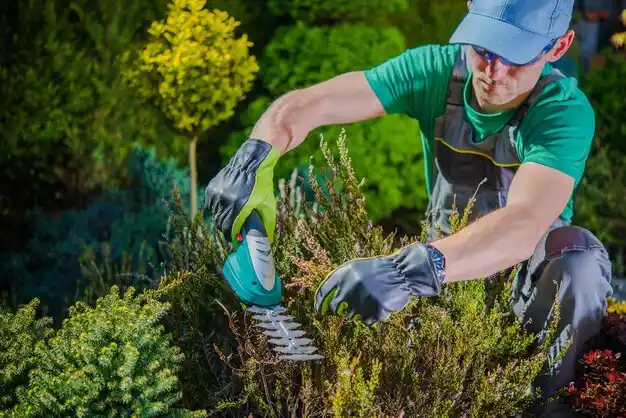 landscaping services The Village of Indian Hill